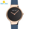 Wal-Joy Brand Women Japan Movement Quartz Watch Small Face Silicone Strap Lady DIY Waterproof Wristwatch