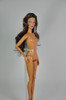 Limited Original Fashion Model FR Doll Integrity Fashion Royalty Doll DIY Senior mannequin head + jointed body for barbie