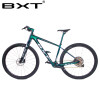 2019 New BXT 29er Carbon Mountain Bike 1*12Speed Complete bicycle 29inch MTB 142*12/148*12mm Boost Chameleon Frame