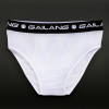 Gailang Brand Men Underwear Briefs Inner Net Brief Underwear Inner Brief of Beach Shorts Boardshorts Board 