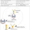 FENASY 18K Gold peandant pearl Jewelry necklaces &amp; pendant for lovers brand party pearl pendants send s925 silver necklaces