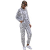 Casual Chinese Style Printed Hoodie Suit Female 2021 Spring New Europe and America Cross Border Womens Clothing