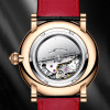 Lacz Denton Luxury Automatic Watch Leather Waterproof Sport Wristwatch
