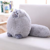 Fun Plush Fluffy Cats Persian Cat Toys Pembroke Pillow Soft Stuffed Animal Peluches Dolls Baby Kids Toys Gifts Brinquedos WW108