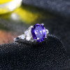Standard Sterling Silver S925 Ring Fashion Women Purple Zircon Wedding Party Gifts Korean Style FCGJHW