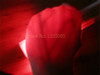 Forth generation advanced Both Adults And Children Suitable Vein Viewer Display Lights Imaging Find Vein Medical Vein Finder