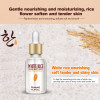 ROREC White Rice Serum Natural &amp; Organic Reduces Wrinkles &amp; Lightens Dark Spots Dark Circle, Fine Line &amp; Sun Damage Corrector