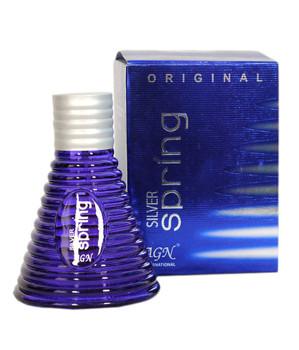  AGN International Silver spring Eau de Parfum - 120 ml (For Boys)