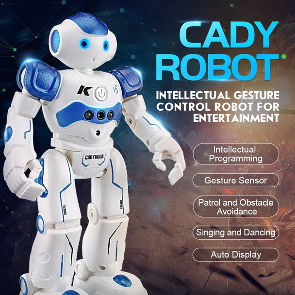 RC Robot Intelligent Programming Remote Control Robot Toy Biped Humanoid Robot For Children Kids Birthday Gift robot dog pet