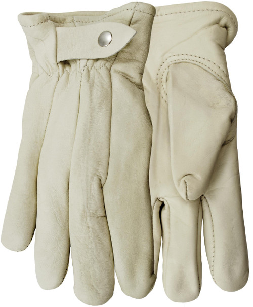 Watson_377-L_2.jpg