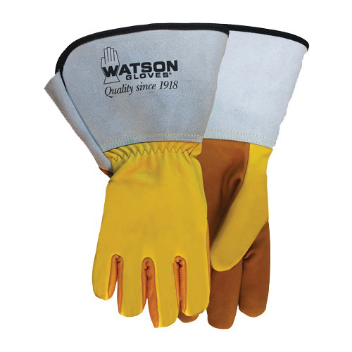 Watson_407G_L.jpg