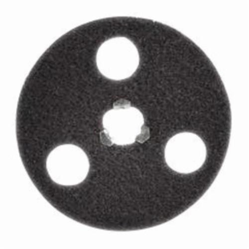 Bear_Tex_66261010448.jpg
