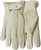 Watson_377-L_2.jpg