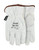 Watson_547-L_2.jpg