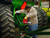 Milwaukee_2646-21CT_1.jpg