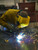 1095_Magswitch_8100746_2.jpg