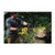 DeWALT_DCCS670X1_2.jpg