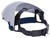 sellstrom_S30110_4.jpg