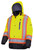 Pioneer_V1210160-3XL.jpg