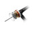 CK_Worldwide_D2GS116LD_2.jpg