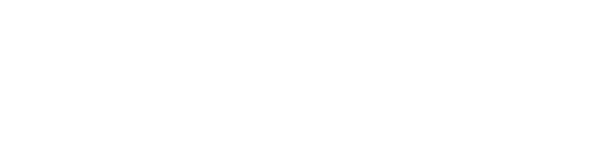 FLEX