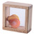 Discovery Windows 8-Piece Set