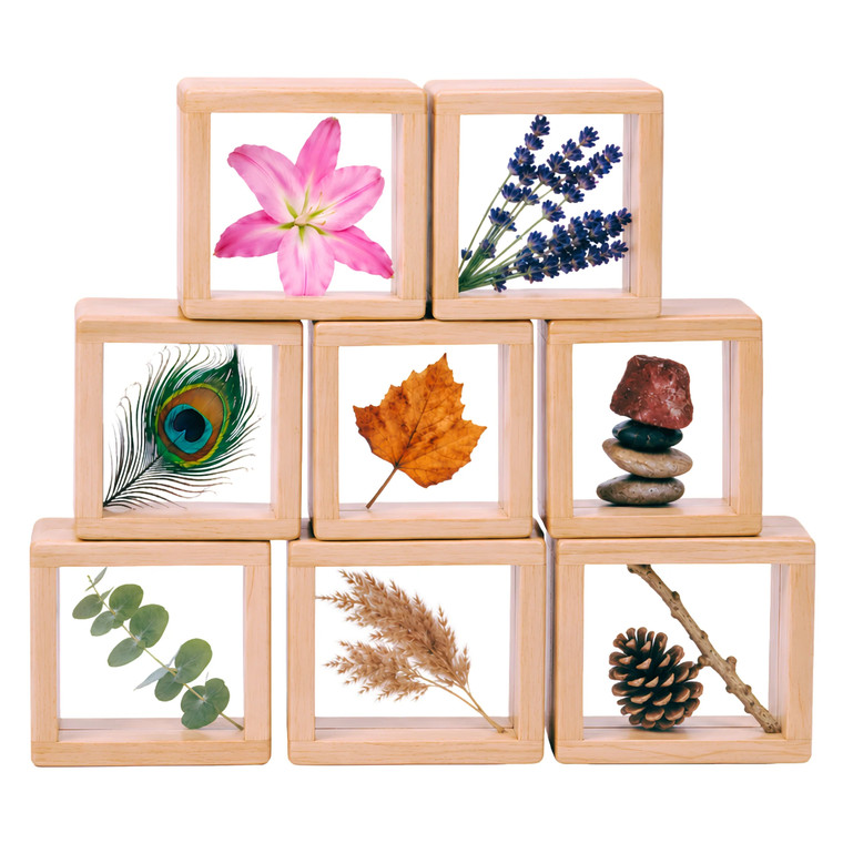 Discovery Windows 8-Piece Set