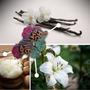 Wax Melts Hot Luxe