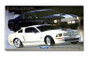 2007 Shelby GT Mustang Cobra Poster (Black & White Mustangs)
