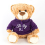 Teddy Bear with Purple Shelby Hoody