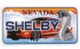 Magnet -  Shelby Embossed License Plate Nevada 3"