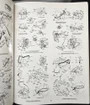 Mustang Illustration Catalog 1965-1973