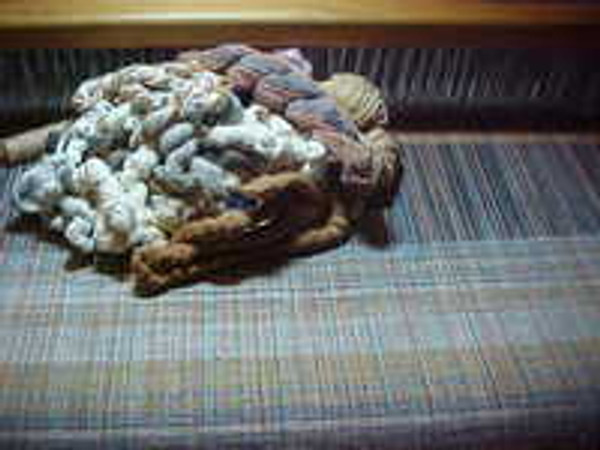 Zanshi Khadi Zanshi Khadi