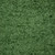 C SHOGUN Fern