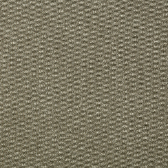 CANDOR PLUS Putty