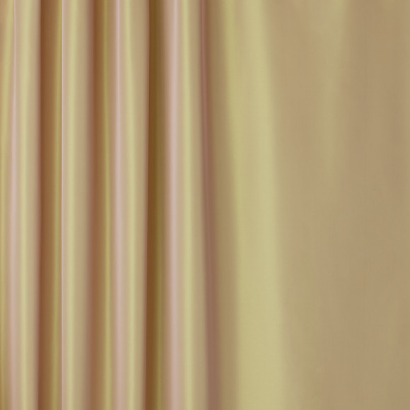 C BELCOURT Desert Bloom