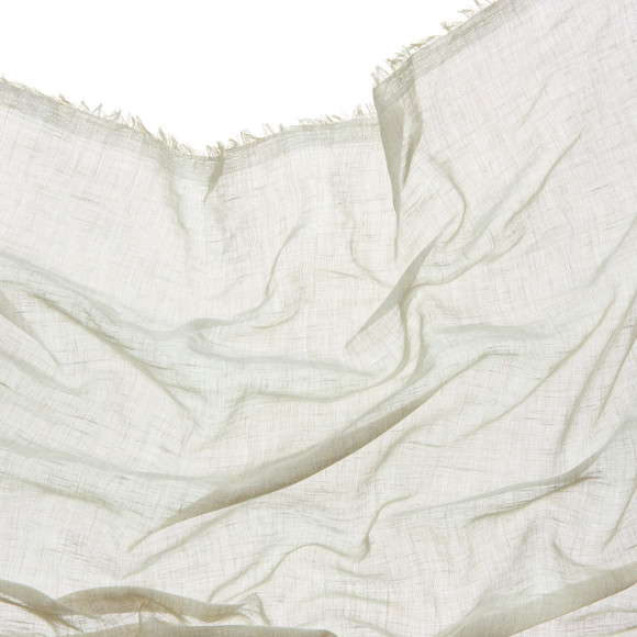 IMAI SHEER Reed