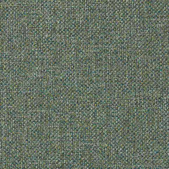 C MORRIS Cactus