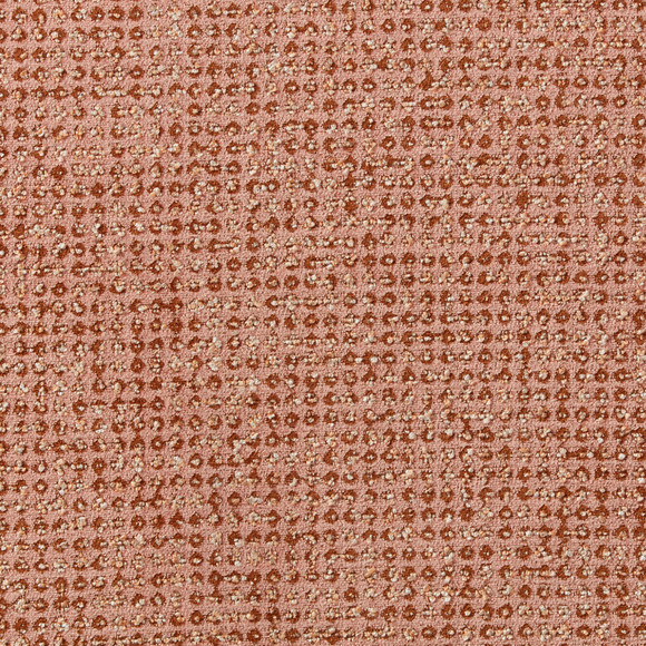 IMO CONSTELLARY Ginger