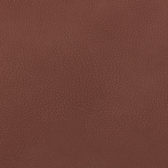 GRAZE Carnelian