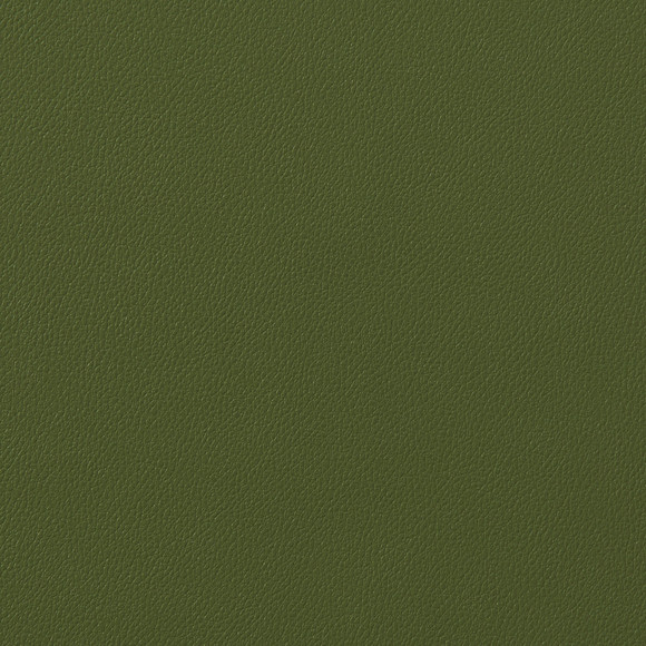 CANTLE Conifer