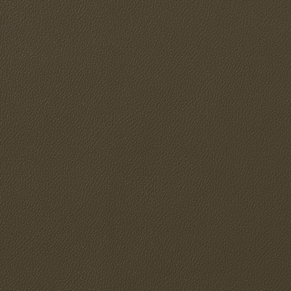 CANTLE Houjicha