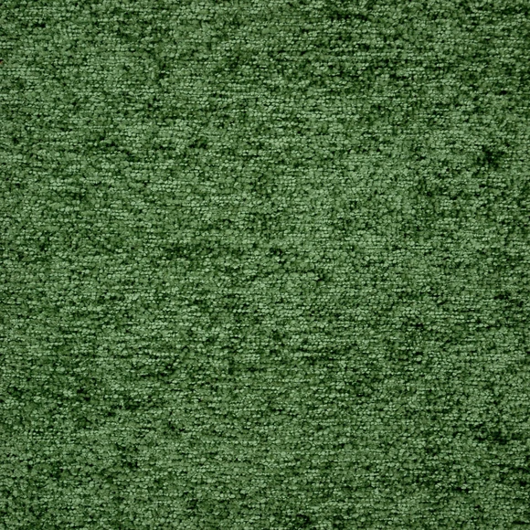 C SHOGUN Fern