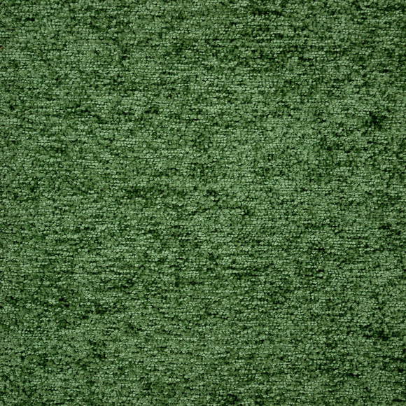C SHOGUN Fern