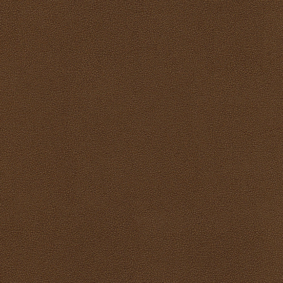 COASTLAND Pecan