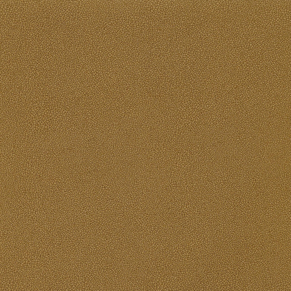 COASTLAND Peanut