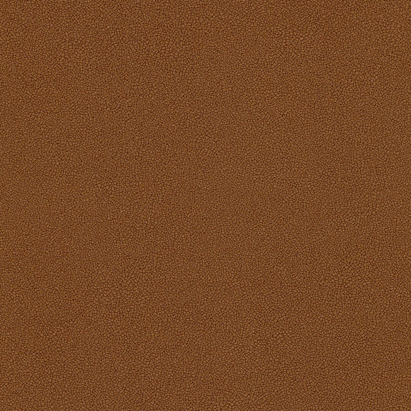 COASTLAND Kodiak