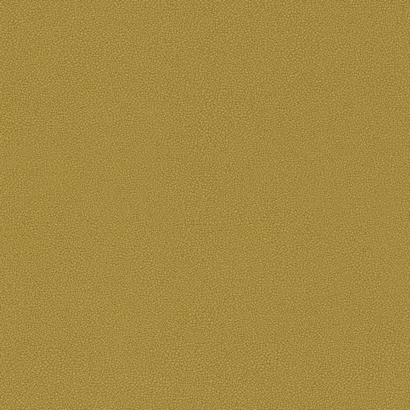 COASTLAND Olive