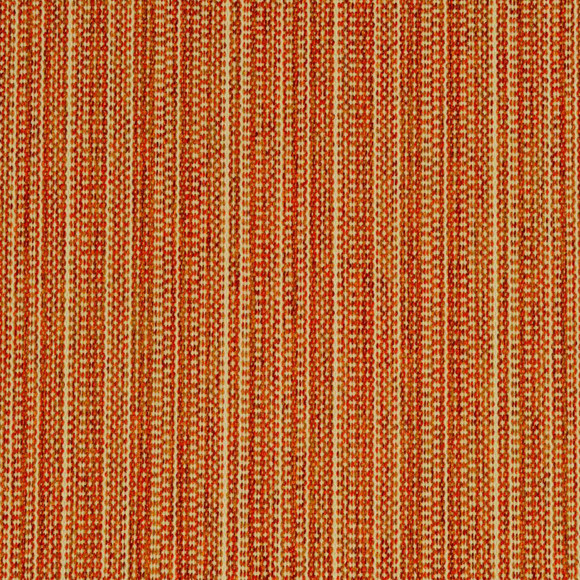 UV PUERTO VALLARTA Persimmon