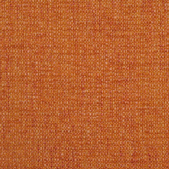 ALL ASHORE Coral          Ham